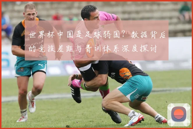 世界杯中国是足球弱国?数据背后的竞技差距与青训体系深度探讨