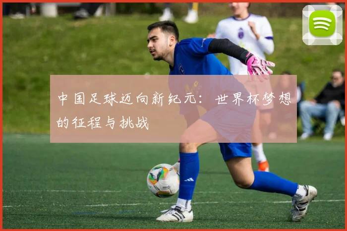 中国足球迈向新纪元：世界杯梦想的征程与挑战