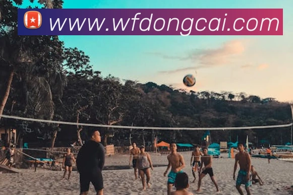 九游官网登录入口网页平台生态图