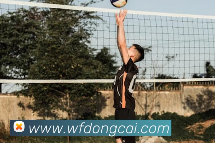 数据防护可视化